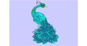 Drawing of Peacock by ThasMe13