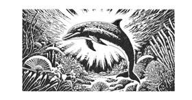 Drawing of Dolphin by Nay