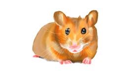 Drawing of Hamster by IThinkWereDoomed