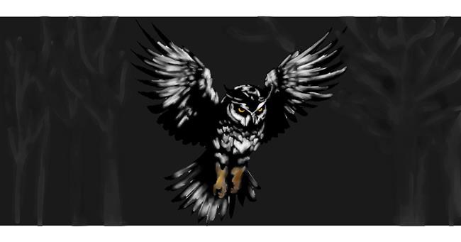 Drawing of Owl by Annie