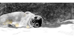 Drawing of Seal by Chaching