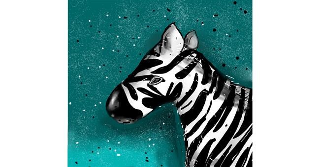 Drawing of Zebra by Peek