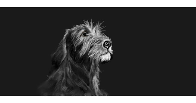 Drawing of Dog by Chaching