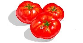 Drawing of Tomato by GJP