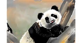 Panda - autor: Rose rocket