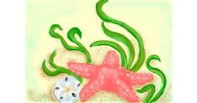 Drawing of Starfish by Debidolittle