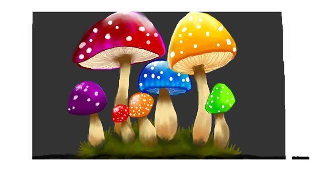 Drawing of Mushroom by DebbyLee