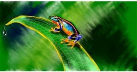 Drawing of Frog by Eclat de Lune