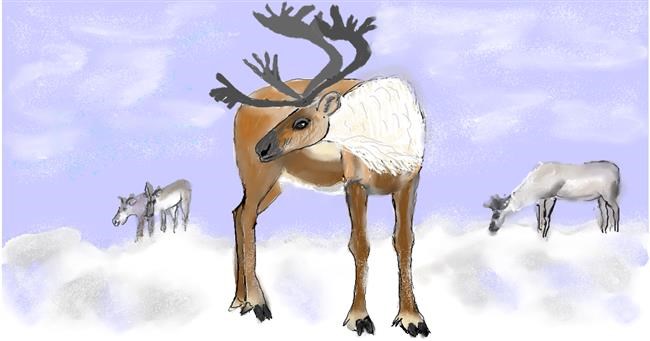 Drawing of Reindeer by Maggy