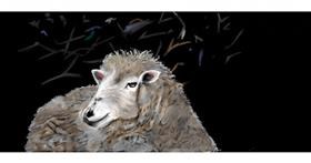 Drawing of Sheep by Chaching