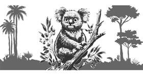 Drawing of Koala by Annie