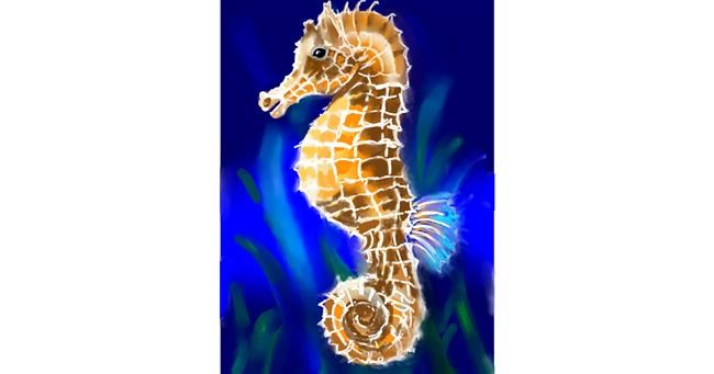 Drawing of Seahorse by ⋆su⋆vinci彡