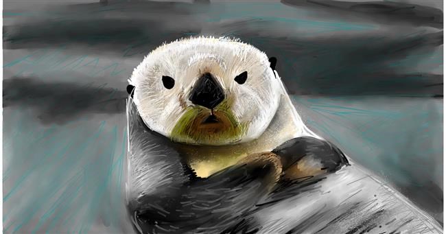Drawing of Otter by Mia