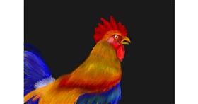 Drawing of Rooster by Colliope