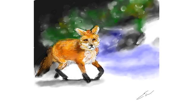 Drawing of Fox by emrys