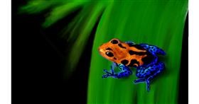 Drawing of Frog by Sylv