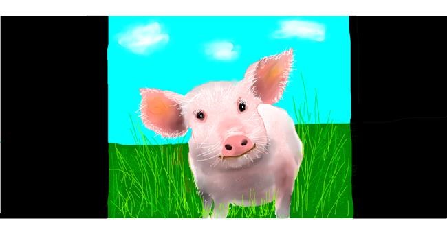 Drawing of Pig by Soraya