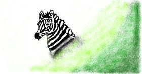 Zebra - autor: Anonymous