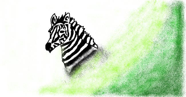 Zebra - autor: Anonymous