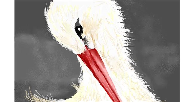 Drawing of Stork by Kiwi