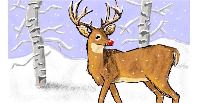 Drawing of Reindeer by Sam