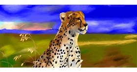 Drawing of Cheetah by Effulgent Emerald