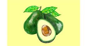 Drawing of Avocado by GJP