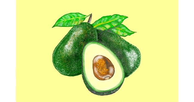 Avocado-Zeichnung von GJP