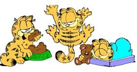 Garfield - autor: Kim