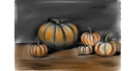 Drawing of Pumpkin by Jan