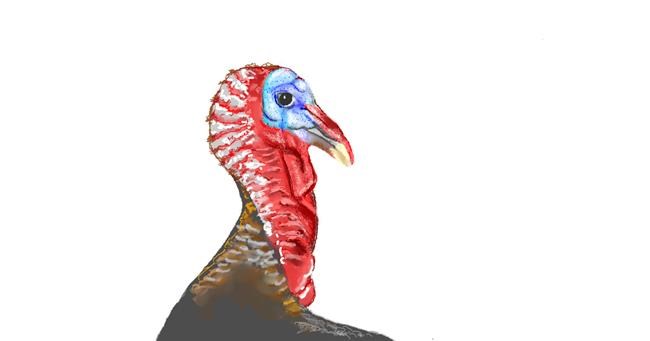 Drawing of Turkey by GJP