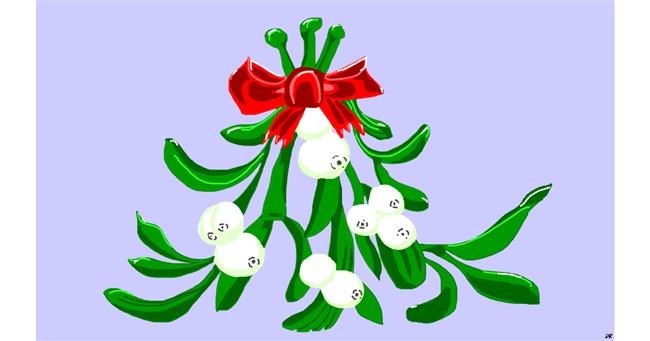 Drawing of Mistletoe by flowerpot