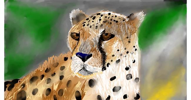 Gepard - autor: Mia