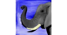 Drawing of Elephant by Lou