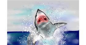 Drawing of Shark by Rose rocket