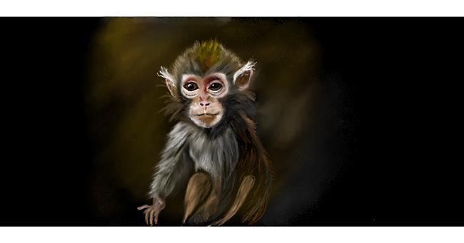 Drawing of Monkey by Chaching