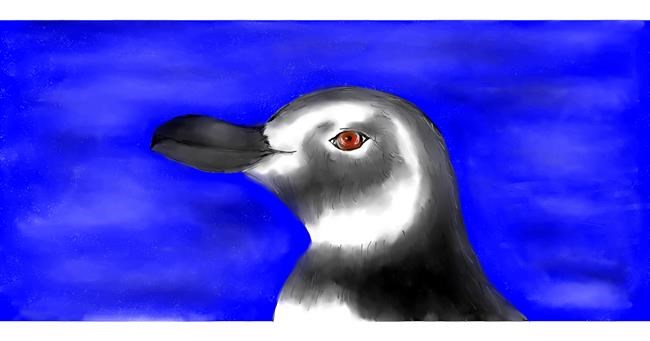 Drawing of Penguin by Robin