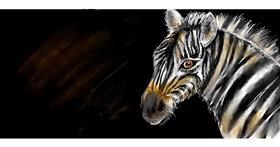 Drawing of Zebra by Robin