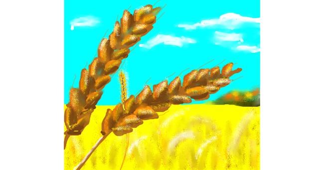 Drawing of Wheat by Dexl