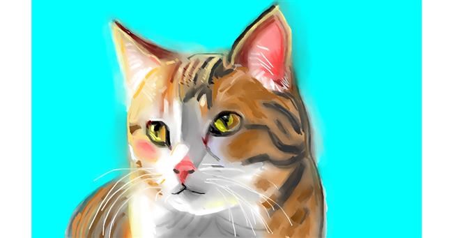 Drawing of Cat by Edgar