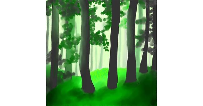 Drawing of Forest by Um