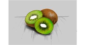 Drawing of Kiwi fruit by Bibattole