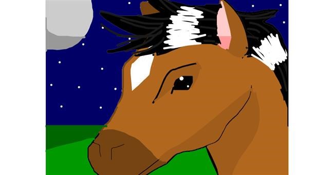 Drawing of Horse by Wolf 🐺