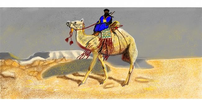 Drawing of Camel by Chaching
