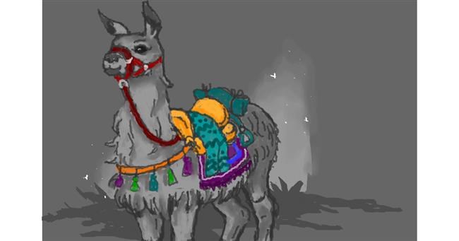 Drawing of Llama by sara