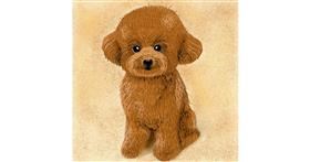 Pudlica - autor: Joze