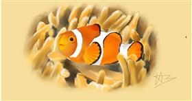 Clownfish - autor: Mila