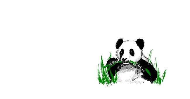 Panda - autor: Murdoc