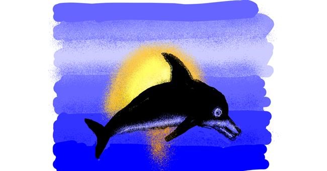 Drawing of Dolphin by Cherri