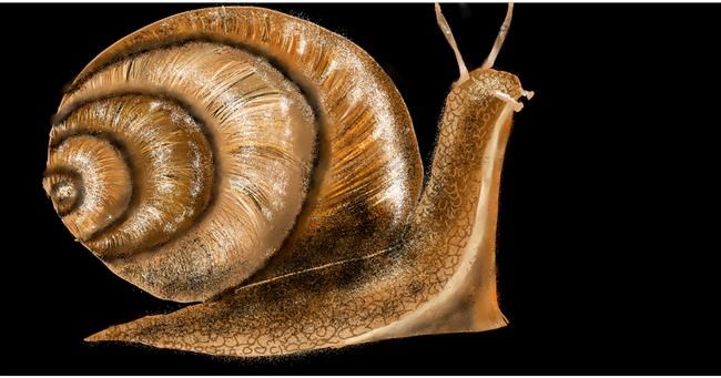 Schnecke-Zeichnung von Eclat de Lune